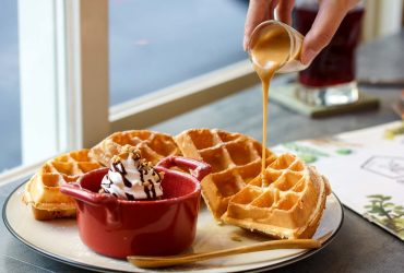 芝山早午餐｜伍零 550Cafe，義大利麵、鬆餅、帕尼尼、招牌“貓飯”  餐點高達90%自製，小清新綠意舒適用餐環境