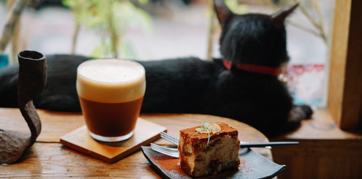 花蓮咖啡廳|Caffe Fiore珈琲花:被貓咪及植栽療癒包圍著的咖啡廳, 手沖咖啡口味眾多都是真實力