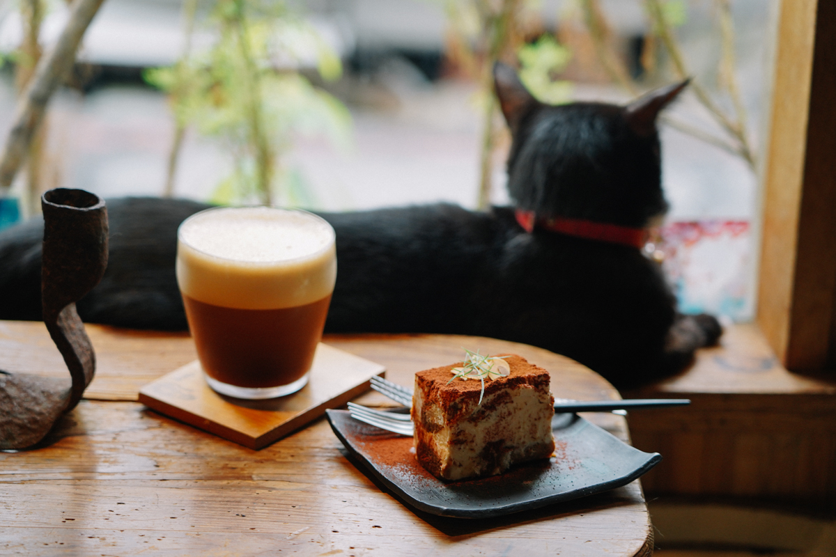 花蓮咖啡廳｜Caffe Fiore珈琲花：被貓咪及植栽療癒包圍著的咖啡廳， 手沖咖啡口味眾多都是真實力