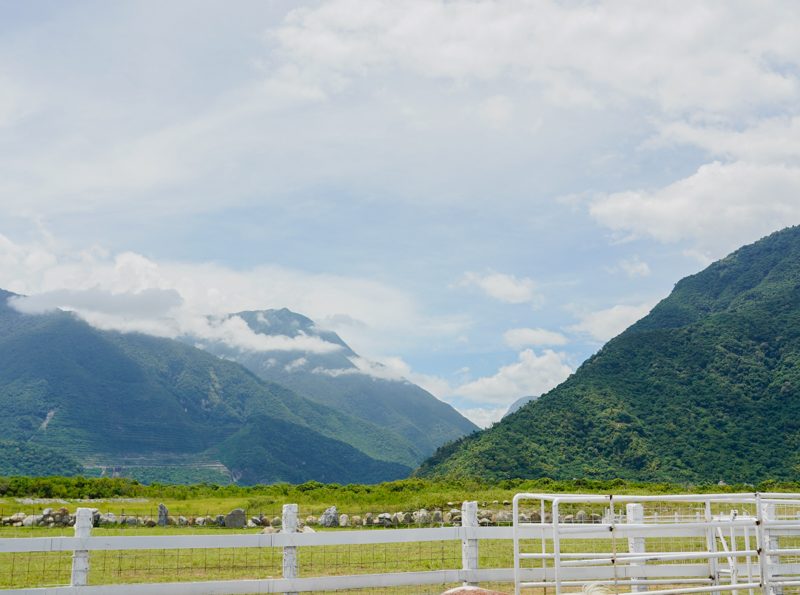 花蓮景點|崇德螢農場:媲美為台版紐西蘭,一面是壯闊大山、一面是一望無際大海,還有超多小動物可餵食