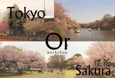 [日本|賞櫻景點] 2016東京賞櫻花推薦行程 搭電車就到的了的必去賞櫻景點(2018.2.22更新)